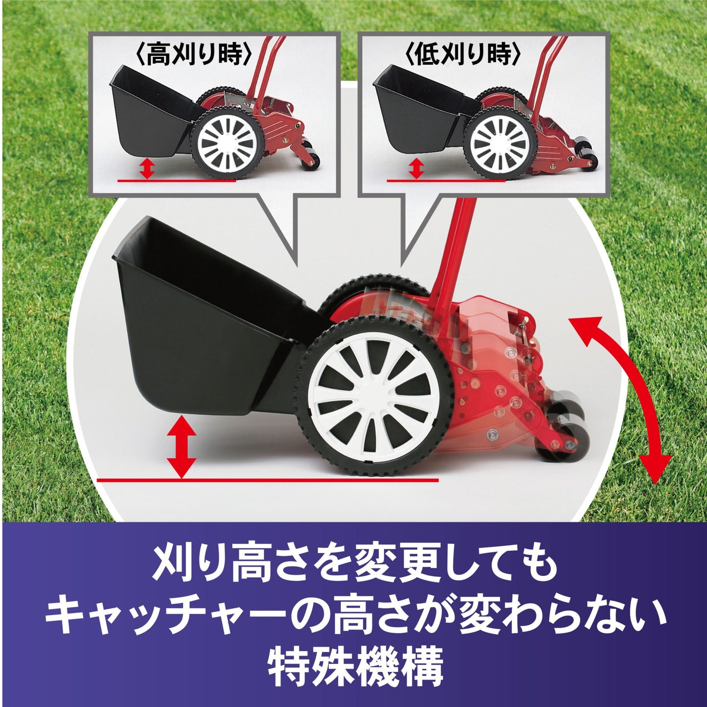 GSH-2500R Golden Star High Cut Mower Royal