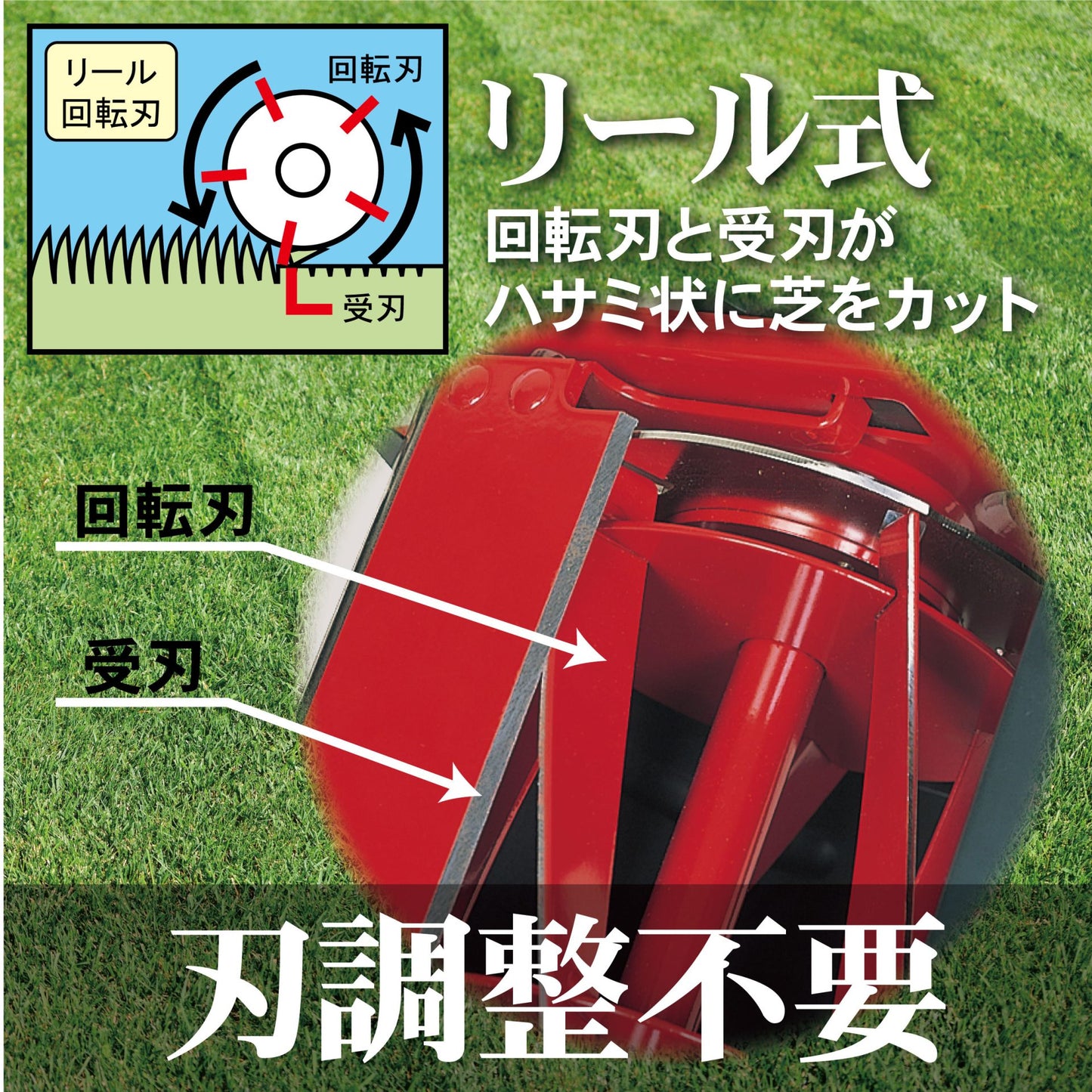 GSH-2500R Golden Star High Cut Mower Royal