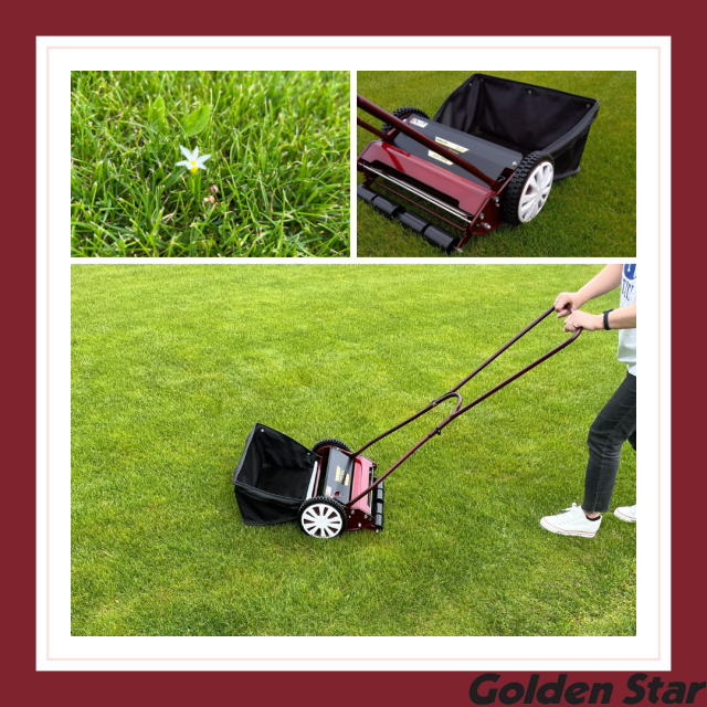 Golden Star GCX-3500L Push Cylinder Mower